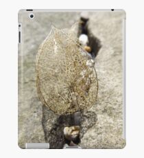 Leaf skeleton iPad Case/Skin