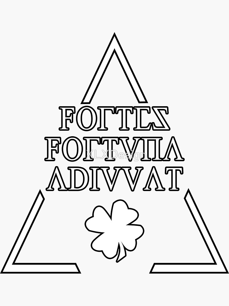 "FORTES FORTUNA ADIUVAT-Latin Quotes Shirt - smart aleck T-Shirt - nerd
