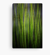 River Tales Canvas Print