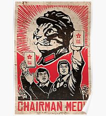 Póster Presidente Meow - Los gatitos del mundo se unen.