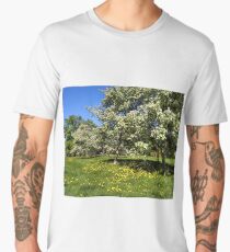 blossoming apple-trees in the city park Men's Premium T-Shirt