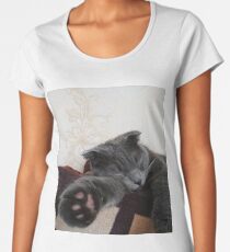 lop-eared gray cat sleeping on the sofa Women's Premium T-Shirt