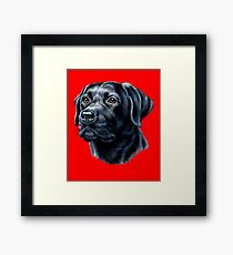 Black Labrador Owner Portrait Black Lab Pet Owner Framed Print