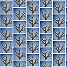 Grab the blue sky by Jorge Antunes