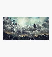 Snowstorm Photographic Print