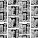 The door of the past by Jorge Antunes