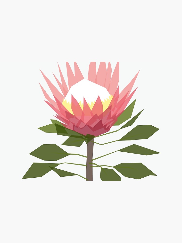 King Protea by jbott