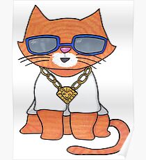 Cool Cat Poster