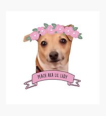 Peach - Pink Flower Crown Photographic Print