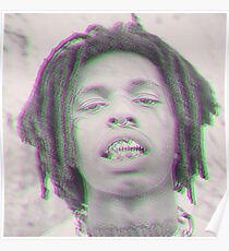 ZILLAKAMI Poster