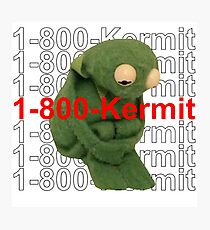 1-800-Kermit Photographic Print