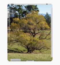 Willow iPad Case/Skin