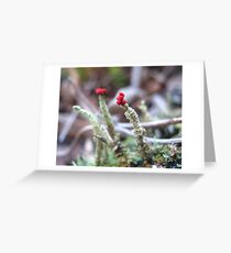 Tiny Red Tops Greeting Card