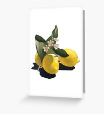 Natural Lemon Greeting Card