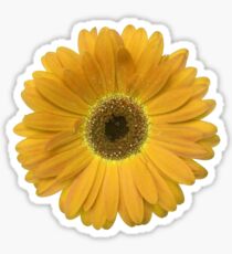 Friday Sticker