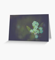 Unique blue forget-me-not flowers close up Greeting Card