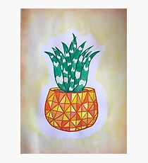 A Succulent Pineapple Photographic Print