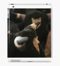 Cows with horns iPad Case/Skin