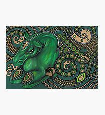Water Horse Photographic Print