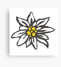 Swiss Edelweiss Canvas Print