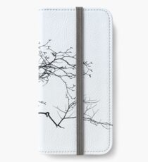 Outreach iPhone Wallet/Case/Skin