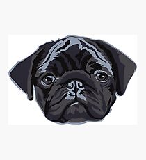 Mops Leben Fotodruck