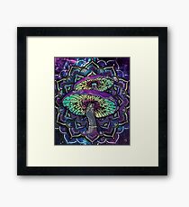 Trippy Shroom Art Framed Print