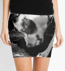 Intruder Mini Skirt