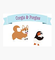 Corgis and Porgies don’t mix Photographic Print