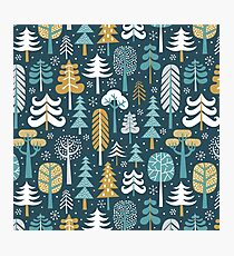 Snowy woods on dark blue background Photographic Print