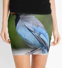 Stellar's Jay With a Beak-full Mini Skirt