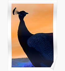 Untitled Poster