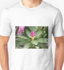 Pruple Flower Close Up Unisex T-Shirt