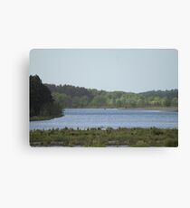 Rural Woodland Landscape Canvas Print