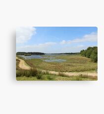 Rural Woodland Landscape Canvas Print