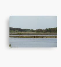 Rural Woodland Landscape Canvas Print