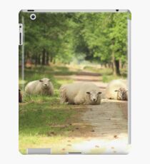 Five Sheep Blocking The Road iPad Case/Skin