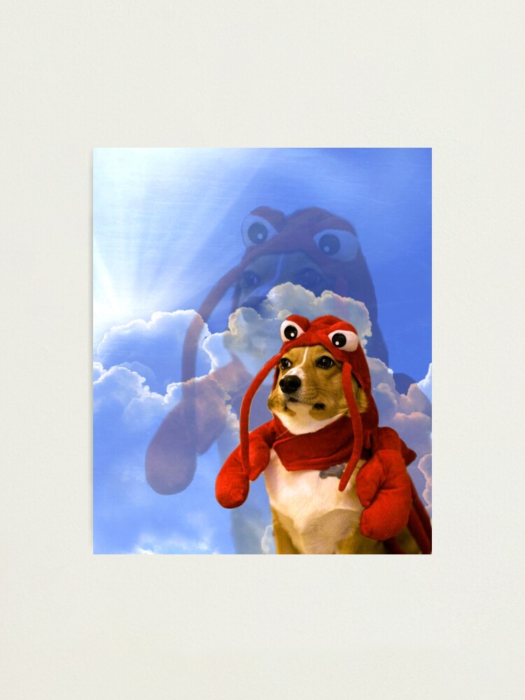 Alternate view of Lobster Corgi, Doggo #1 Photographic Print