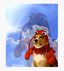 Lobster Corgi, Doggo #1 Photographic Print
