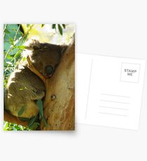 Hold Your Chin Up Postcards