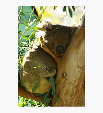 Hold Your Chin Up Photographic Print