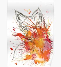 Fox splash - autumn colours Poster