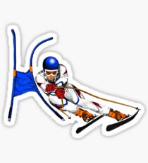 Ski Sticker