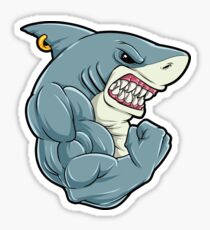 Shark At The Gym - Training Fitness Muscles Shark Sticker