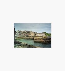 Portsoy Art Board Print