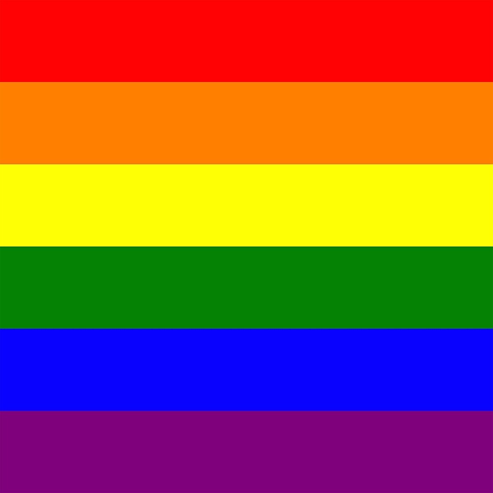 Gay Pride Flag by Ashlily.