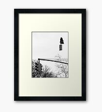 Teddy Framed Print