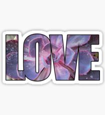Echeveria Love Sticker