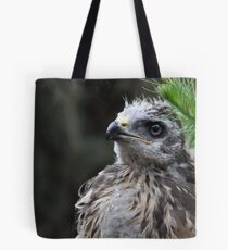 Common Buzzard Chick ( Buteo buteo) Tote Bag