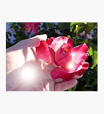 A Gift Photographic Print